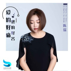 爱的好痛想的好苦 (DJ阳山伟伟版)