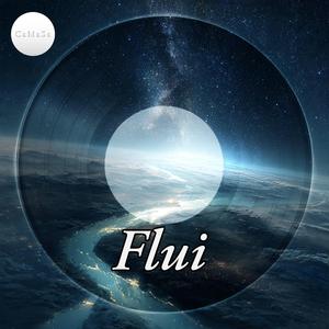 Flui