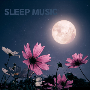 수면 브금 (빗소리)