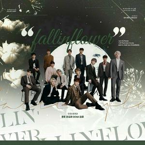 舞い落ちる花びら(Fallin' Flower）（翻自 SEVENTEEN）