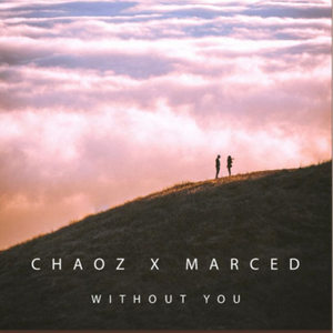 Without You (Radio Mix)