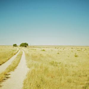 烟灭酒醒情未了（Live版）