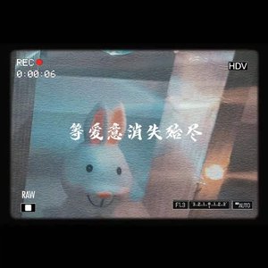 等爱意消失殆尽