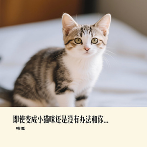 即使变成小猫咪还是没有办法和你一起玩吗