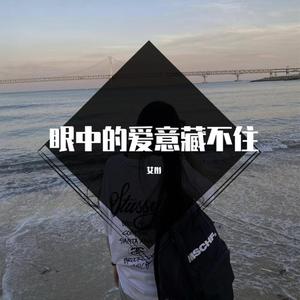 眼中的爱意藏不住 (DJ版)