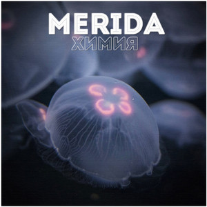 Не влюбляться