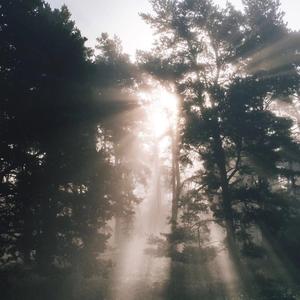 奔向更好的生活