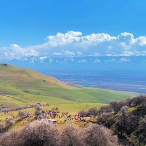 祁闻冥轩-圆（DJ版）（祁闻冥轩 remix）