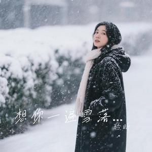 想你一遍雪落一片 (Cover 沧桑小杰)