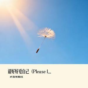请好好爱自己 (Please love yourself英文版 )