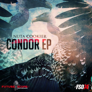 Condor