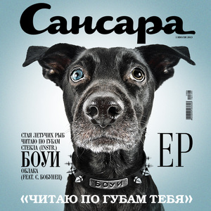 Читаю по губам