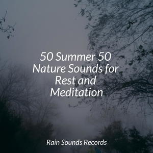 Whispering Wings over Blooming Fields