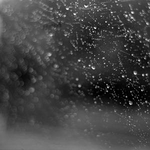 小夜時雨にゆめ