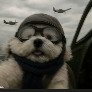 看着我的眼睛说