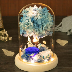 jandy李俊秀-感官先生_jandy李俊秀（jandy李俊秀 remix）