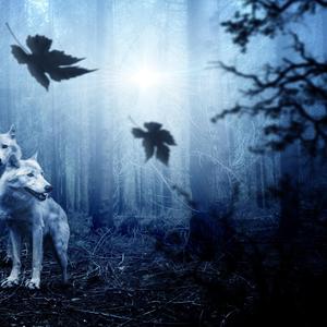 Charlies dream of america