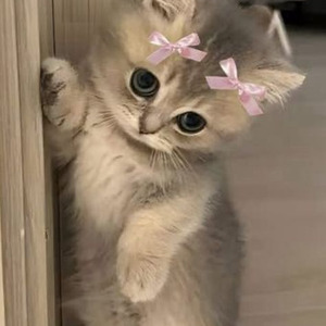 one last time x (slowed + reverb)