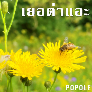 เยอต่าแอะ
