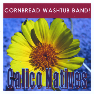 The Great San Berdeaux Train Tragedy (and Subsequent Fire)