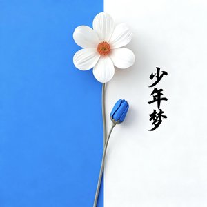 少年梦.mp3