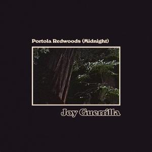Portola Redwoods (Midnight)