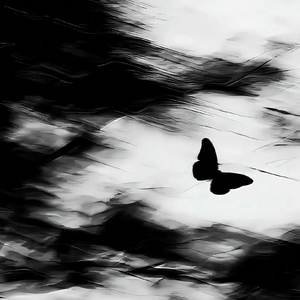 太多（太多的理由太多的借口）