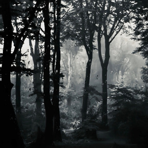 Улетали птицами гордыми(陈翔六点半)