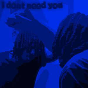I Don't Need You