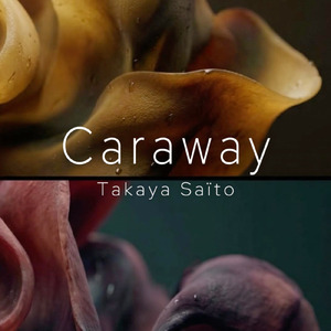 Caraway