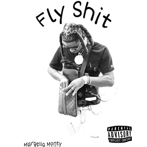 Fly shit