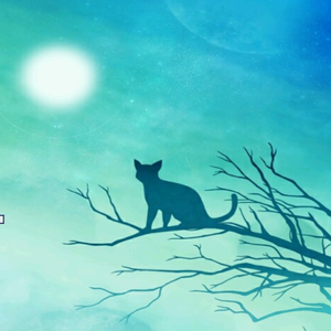 晚霞中的微风和猫