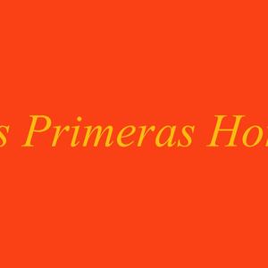 317. Diario De Meditaciones Y Reflexiones D.16