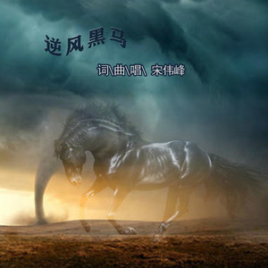 逆风黑马 (伴奏)