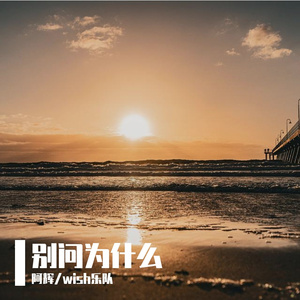 别问为什么 伴奏