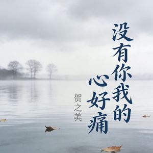 没有你我的心好痛(伴奏)