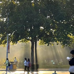 《旧橡皮》