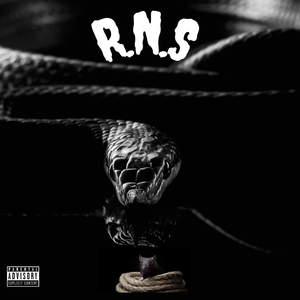 R.N.S