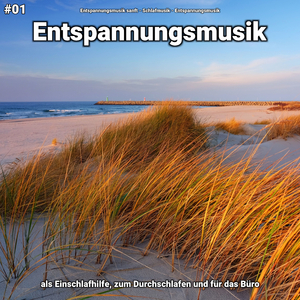 Entspannungsmusik, Pt. 25