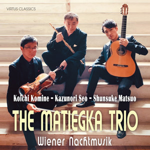 セレナーデ ニ長調 作品8: 第5楽章 Allegretto alla Polacca