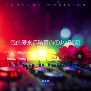 我的爱永远陪着你 (DJ小刚节奏卡点版)
