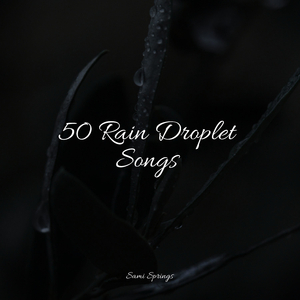 Nature, Cicadas, Birds