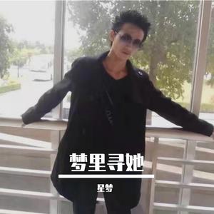 我曾经（翻自 星梦）