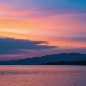 心无纷扰梦安宁