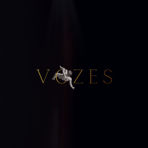 Vozes