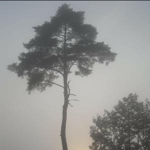 마지막에 솟는 감정, 화 (Anger)