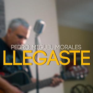 Llegaste (Acústico)