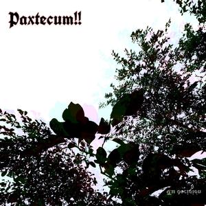 Tu desicion (Taina Cojoba)