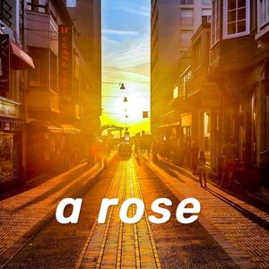 a rose