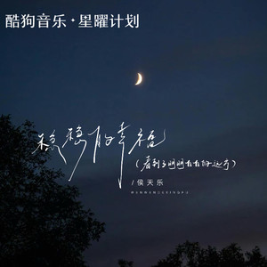 稳稳的幸福 (侯天乐版)